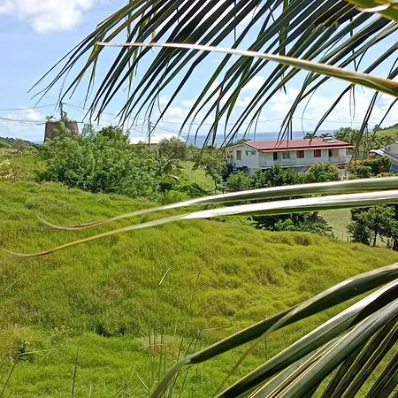 Villa Cocoon, Marin-2